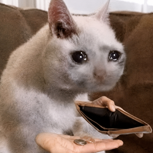 ZeroCoin Cat, a teary-eyed cat holding an empty wallet and one last coin